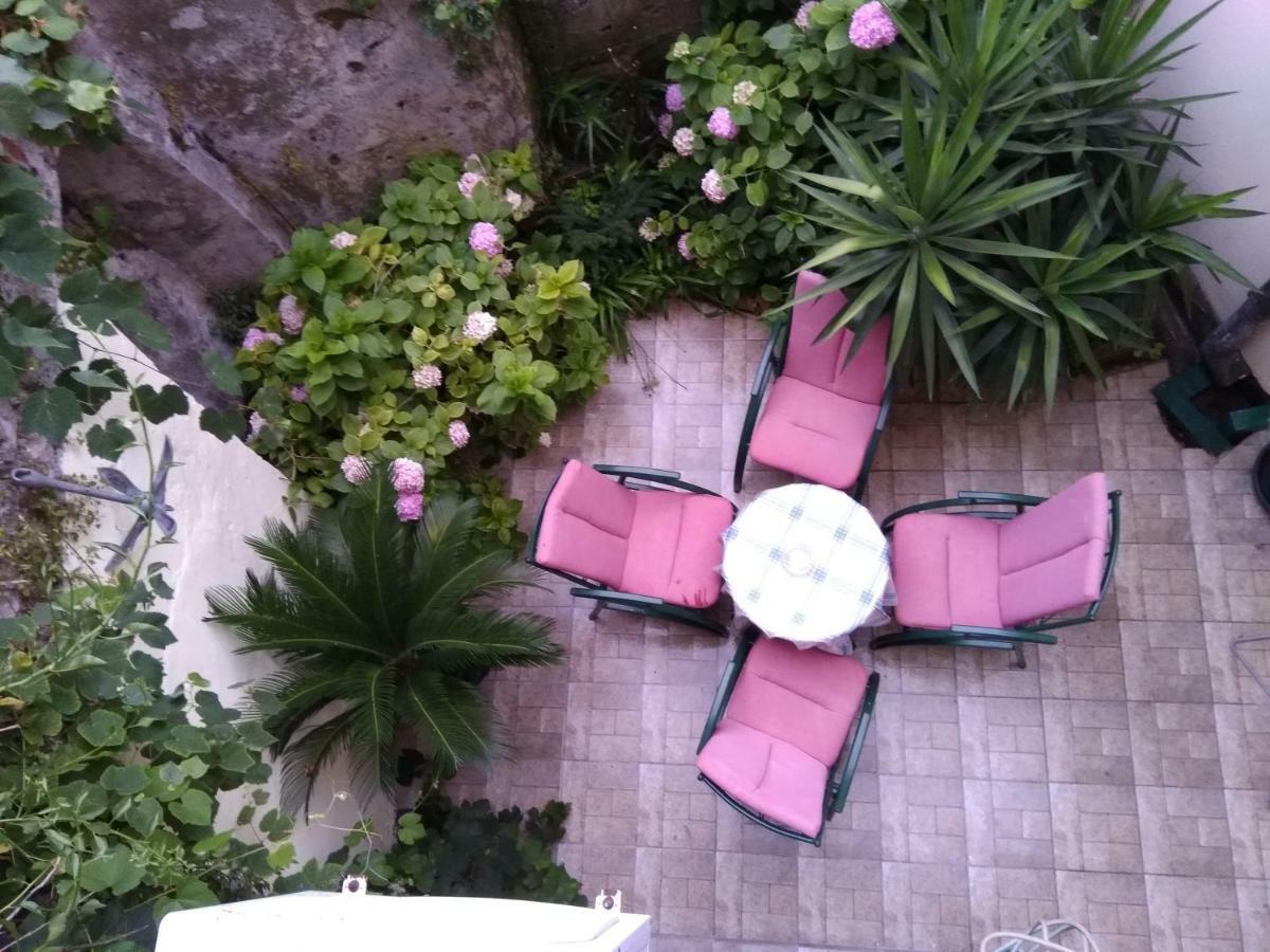 Studio Apartman Gracija Herceg Novi Zewnętrze zdjęcie